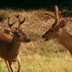 Scanned Photo-40retouch